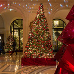 Le Cinq - ホテル内