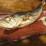 大とろいわし塩焼き(600円+税)