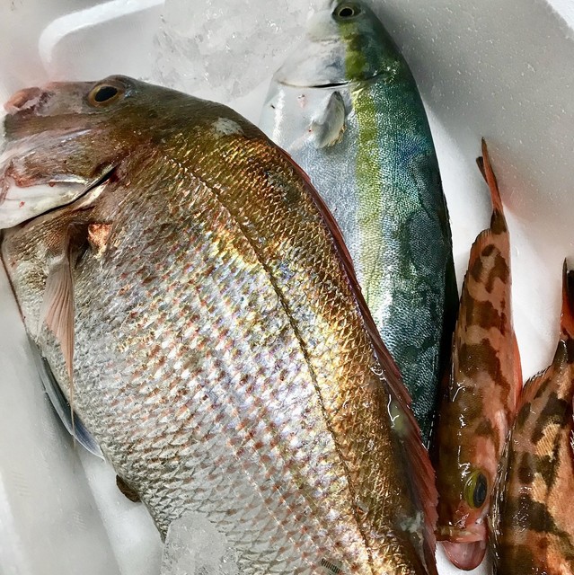 呑喰処マルコメ曙 - 青森（居酒屋）の写真