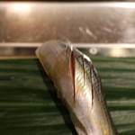 すし屋のまつ勘 - 