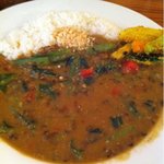 NEPALI CO - 日替わりカレー