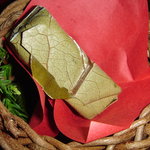 伊豆高原 城ケ崎温泉 花吹雪 - 2011年4月