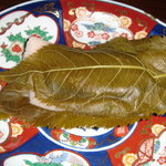 伊豆高原 城ケ崎温泉 花吹雪 - 2011年4月