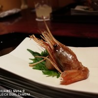 祇をん 豆寅 祇園店 - 