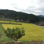 農家バイキング ゆう - 