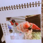 グリーンフィンガー - 