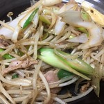 Stir-fried skirt steak with lots of green onions