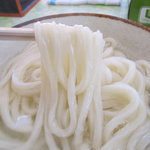 Maruike Seimenjo - 麺のアップ　シコシコ