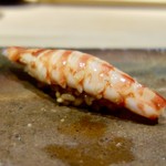 菊鮨 - ［2017/11］寿司⑧ くるまえびの握り