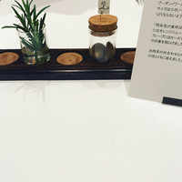 Takumi - 