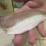 味あら井 - ホウボウ  極めて素晴らしい