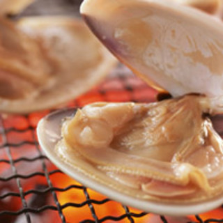 三代目魚河岸 青木鮮魚店_2