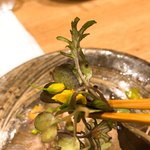 野趣 拓 - 