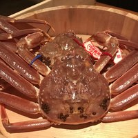 かにじぇんぬ 北新地 - 