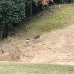 サンベルグラビアカントリー倶楽部 - 