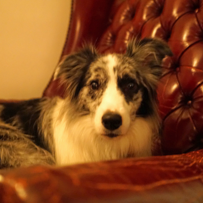 其他的照片 Bar Antiquite 食べログ 繁體中文