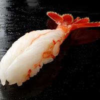 □春のおすすめ□