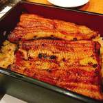 かぼちゃのたね - 