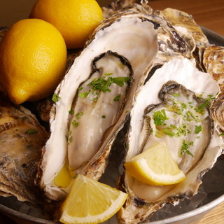 モンキー シー&リアルフード_1