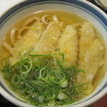 博多うどん はち屋　 - ごぼう天うどん