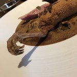 ル スプートニク - 