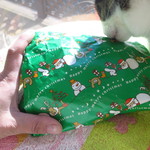 シェール キュティエ - メリークリスマス