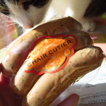 シェール キュティエ - 