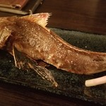 Robata Ippuku - 