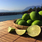 シズール シーフード ＆ グリル - 