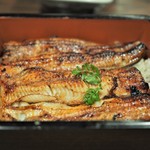 新宿うな鐵　恵比寿店 - うな重特上