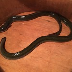 にょろ助 瓢六亭 - 伊勢湾産天然鰻