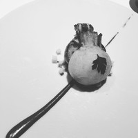 レフェルヴェソンス - 