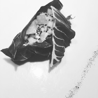 レフェルヴェソンス - 