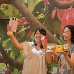 川越ショコラ　Bromagee - 