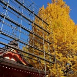 げんかい食堂 - 花園神社の紅葉