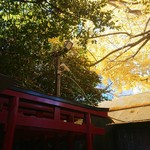 げんかい食堂 - 花園神社の紅葉