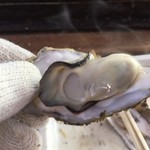 丸善水産  - 小ぶりで身はぷりっぷり♪