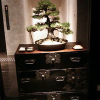 北新地 大嵓埜 - 店・店内の一例 2017年12月