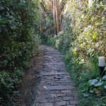 アマルフィイ デラセーラ - このような階段をほぼ4階分上っていく