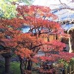 和料理 椿 - 裏庭