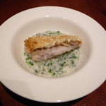 ビンゴ - 甘鯛と新里芋のリゾット