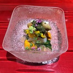 銀座 しのはら - 先付：ボタン海老、雲丹、とんぶり、玉子豆腐