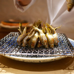 銀座 しのはら - ホンモロコ