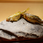 銀座 しのはら - ホンモロコ備長炭焼き