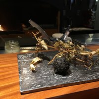 TACUBO - 