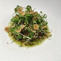 TACUBO - 