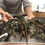 トラットリア ポルコロッソ - 