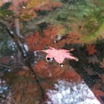 かまくら いち - 覚園寺で。