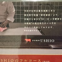 赤身焼肉USHIO - 