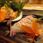 喜助 - 赤貝・鳴門天然鯛